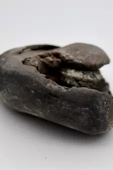 Nepal Gandaki River Original Shaligram Shila Idol Shri Vishnu For Tulsi Puja Stone Fossil In Size (Max: 5 CM) ID-171