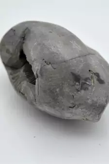 Nepal Gandaki River Original Shaligram Shila Idol Shri Vishnu For Tulsi Puja Stone Fossil In Size (Max: 5 CM) ID-182
