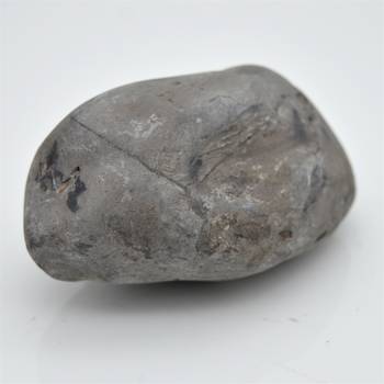 Nepal Gandaki River Original Shaligram Shila Idol Shri Vishnu For Tulsi Puja Stone Fossil In Size (Max: 5 CM) ID-182 3
