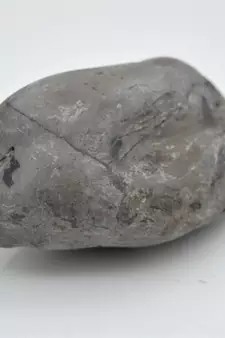 Nepal Gandaki River Original Shaligram Shila Idol Shri Vishnu For Tulsi Puja Stone Fossil In Size (Max: 5 CM) ID-182