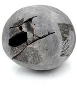 Nepal Gandaki River Original Shaligram Shila Idol Shri Vishnu For Tulsi Puja Stone Fossil In Size (Max: 5 CM) ID-173