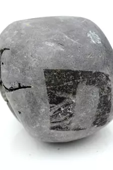 Nepal Gandaki River Original Shaligram Shila Idol Shri Vishnu For Tulsi Puja Stone Fossil In Size (Max: 5 CM) ID-173
