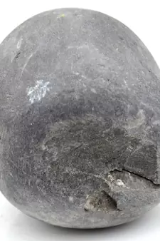 Nepal Gandaki River Original Shaligram Shila Idol Shri Vishnu For Tulsi Puja Stone Fossil In Size (Max: 5 CM) ID-173