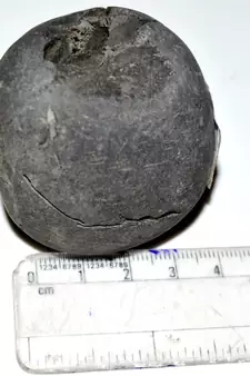 Nepal Gandaki River Original Shaligram Shila Idol Shri Vishnu For Tulsi Puja Stone Fossil In Size (Max: 5 CM) ID-173