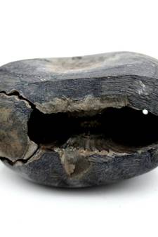 Nepal Gandaki River Original Shaligram Shila Idol Shri Vishnu For Tulsi Puja Stone Fossil In Size (Max: 5 CM) ID-174
