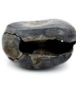 Nepal Gandaki River Original Shaligram Shila Idol Shri Vishnu For Tulsi Puja Stone Fossil In Size (Max: 5 CM) ID-174