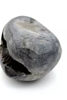 Nepal Gandaki River Original Shaligram Shila Idol Shri Vishnu For Tulsi Puja Stone Fossil In Size (Max: 5 CM) ID-174