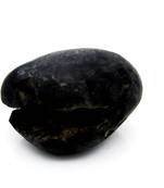 Nepal Gandaki River Original Shaligram Shila Idol Shri Vishnu For Tulsi Puja Stone Fossil In Size (Max: 5 CM) ID-175