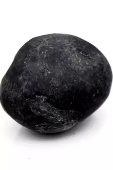 Nepal Gandaki River Original Shaligram Shila Idol Shri Vishnu For Tulsi Puja Stone Fossil In Size (Max: 5 CM) ID-175