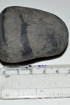 Nepal Gandaki River Original Shaligram Shila Idol Shri Vishnu For Tulsi Puja Stone Fossil In Size (Max: 5 CM) ID-187