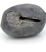 Nepal Gandaki River Original Shaligram Shila Idol Shri Vishnu For Tulsi Puja Stone Fossil In Size (Max: 5 CM) ID-188