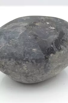 Nepal Gandaki River Original Shaligram Shila Idol Shri Vishnu For Tulsi Puja Stone Fossil In Size (Max: 5 CM) ID-188