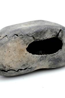 Nepal Gandaki River Original Shaligram Shila Idol Shri Vishnu For Tulsi Puja Stone Fossil In Size (Max: 5 CM) ID-176