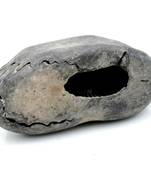 Nepal Gandaki River Original Shaligram Shila Idol Shri Vishnu For Tulsi Puja Stone Fossil In Size (Max: 5 CM) ID-176