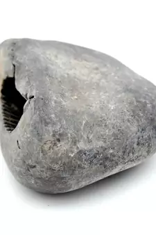 Nepal Gandaki River Original Shaligram Shila Idol Shri Vishnu For Tulsi Puja Stone Fossil In Size (Max: 5 CM) ID-176