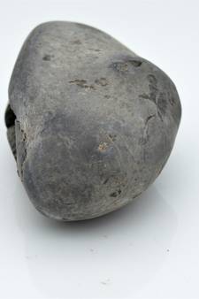 Nepal Gandaki River Original Shaligram Shila Idol Shri Vishnu For Tulsi Puja Stone Fossil In Size (Max: 5 CM) ID-189