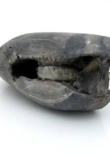 Nepal Gandaki River Original Shaligram Shila Idol Shri Vishnu For Tulsi Puja Stone Fossil In Size (Max: 5 CM) ID-190