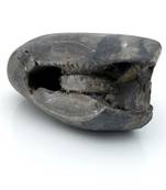 Nepal Gandaki River Original Shaligram Shila Idol Shri Vishnu For Tulsi Puja Stone Fossil In Size (Max: 5 CM) ID-190