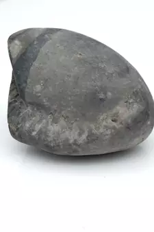 Nepal Gandaki River Original Shaligram Shila Idol Shri Vishnu For Tulsi Puja Stone Fossil In Size (Max: 5 CM) ID-190