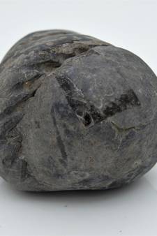 Nepal Gandaki River Original Shaligram Shila Idol Shri Vishnu For Tulsi Puja Stone Fossil In Size (Max: 5 CM) ID-191