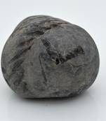 Nepal Gandaki River Original Shaligram Shila Idol Shri Vishnu For Tulsi Puja Stone Fossil In Size (Max: 5 CM) ID-191