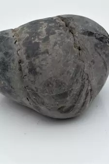 Nepal Gandaki River Original Shaligram Shila Idol Shri Vishnu For Tulsi Puja Stone Fossil In Size (Max: 5 CM) ID-191