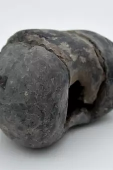 Nepal Gandaki River Original Shaligram Shila Idol Shri Vishnu For Tulsi Puja Stone Fossil In Size (Max: 5 CM) ID-191