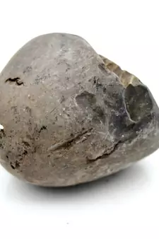 Nepal Gandaki River Original Shaligram Shila Idol Shri Vishnu For Tulsi Puja Stone Fossil In Size (Max: 5 CM) ID-178