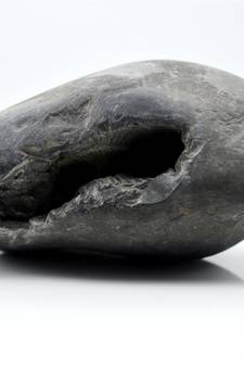 Nepal Gandaki River Original Shaligram Shila Idol Shri Vishnu For Tulsi Puja Stone Fossil In Size (Max: 5 CM) ID-192