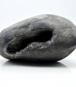 Nepal Gandaki River Original Shaligram Shila Idol Shri Vishnu For Tulsi Puja Stone Fossil In Size (Max: 5 CM) ID-192