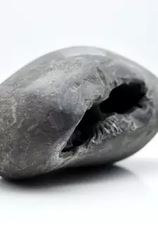 Nepal Gandaki River Original Shaligram Shila Idol Shri Vishnu For Tulsi Puja Stone Fossil In Size (Max: 5 CM) ID-192
