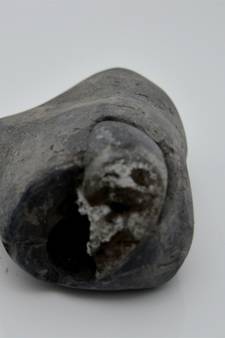 Nepal Gandaki River Original Shaligram Shila Idol Shri Vishnu For Tulsi Puja Stone Fossil In Size (Max: 5 CM) ID-179