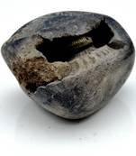 Nepal Gandaki River Original Shaligram Shila Idol Shri Vishnu For Tulsi Puja Stone Fossil In Size (Max: 5 CM) ID-181