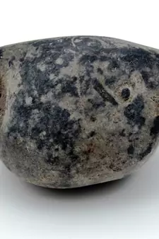 Nepal Gandaki River Original Shaligram Shila Idol Shri Vishnu For Tulsi Puja Stone Fossil In Size (Max: 5 CM) ID-181