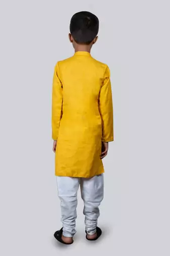 Mustard Goggles Embroidery And Pintux Kurta Set