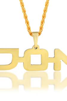 Brass Goldplated DON Fashion pendant