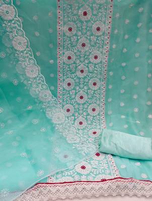 Sky-blue embroidered organza salwar 2