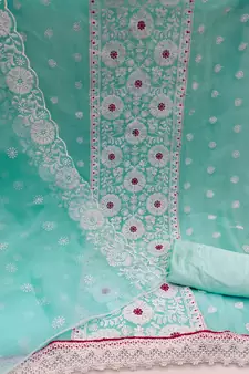 Sky-blue embroidered organza salwar