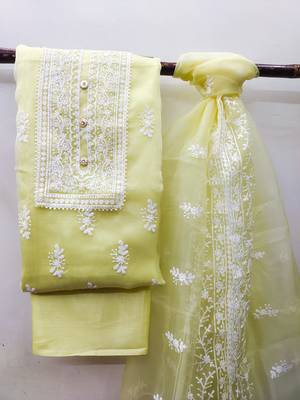 Light-green embroidered organza salwar 1