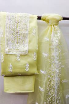 Light-green embroidered organza salwar