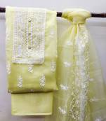 Light-green embroidered organza salwar