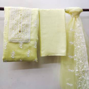 Light-green embroidered organza salwar 3