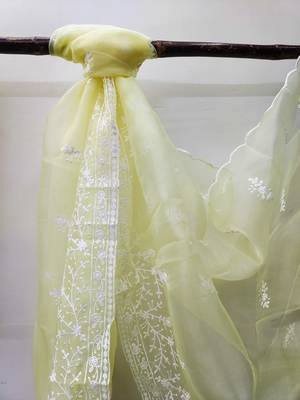 Light-green embroidered organza salwar 4