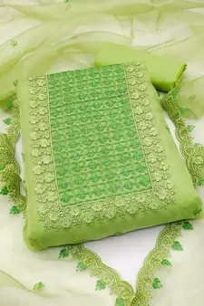 Green embroidered organza salwar