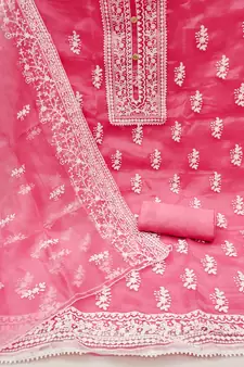 Light-pink embroidered organza salwar