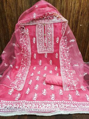Light-pink embroidered organza salwar 3