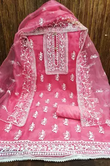 Light-pink embroidered organza salwar