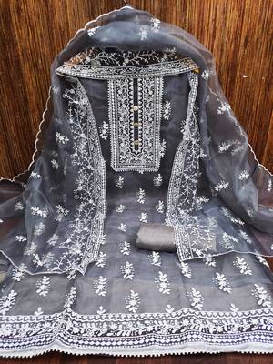 Grey embroidered organza salwar 3