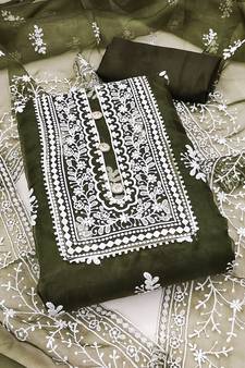 Mehendi embroidered organza salwar