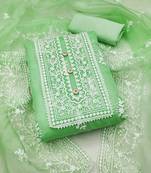 Light-green embroidered organza salwar